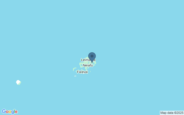 Kaart met locatie Zwemmen met walvissen